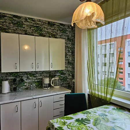 Zygmunt I W Poblizu Dworca Pkp Stradom Apartmán